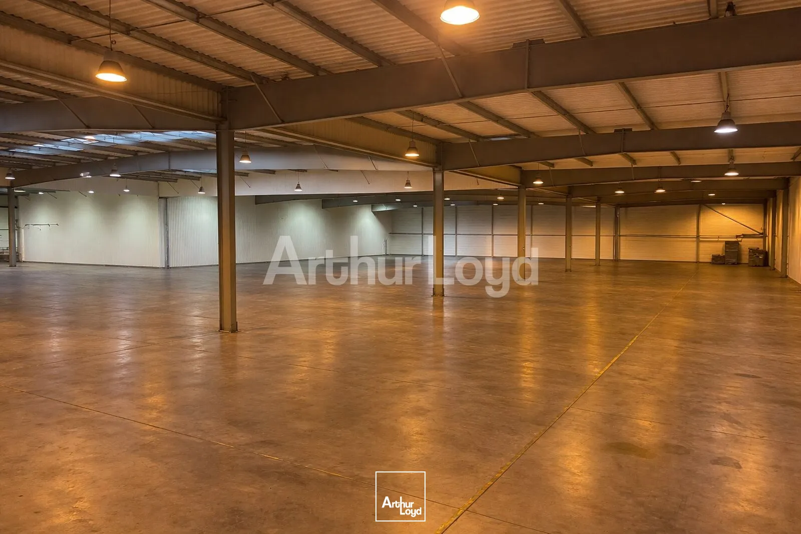 Locaux d'activité & Entrepôts - Location - DOUAI - 59500 - 8200-8200 - 7728825