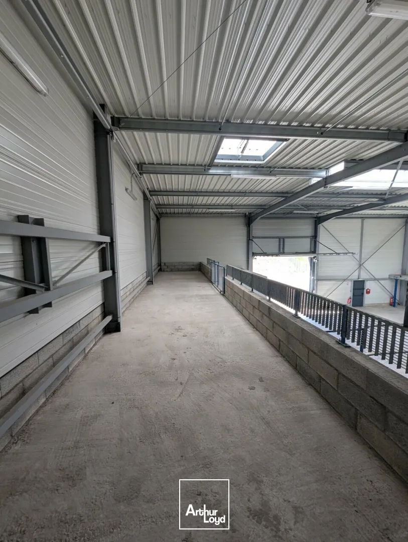 Locaux d'activité & Entrepôts - Location - MARLY - 57155 - 431-431 - 7730483