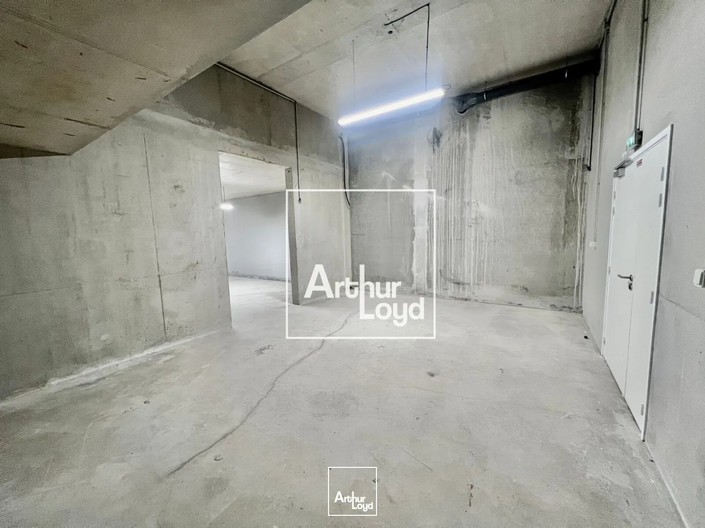 Locaux d'activité & Entrepôts - Location - MONTPELLIER - 34000 - 48-277 - 7730603