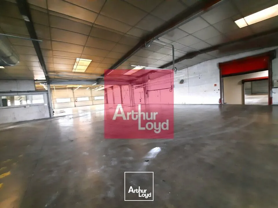 Locaux d'activité & Entrepôts - Vente - PONT-DU-CHÂTEAU - 63430 - 2500-2500 - 7731138