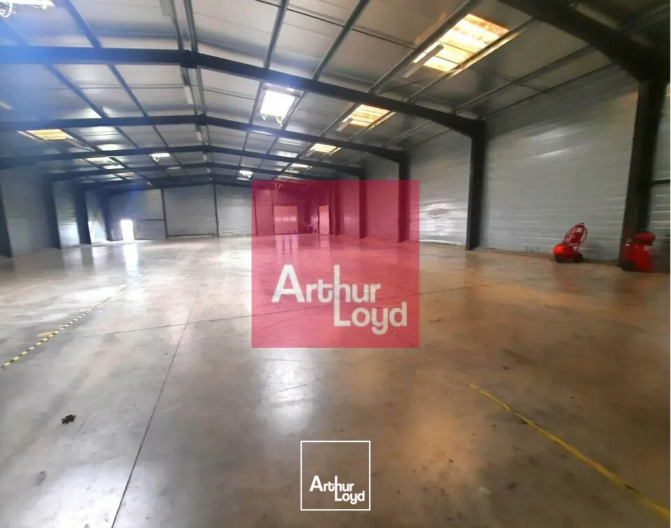 Locaux d'activité & Entrepôts - Vente - PONT-DU-CHÂTEAU - 63430 - 2500-2500 - 7731136