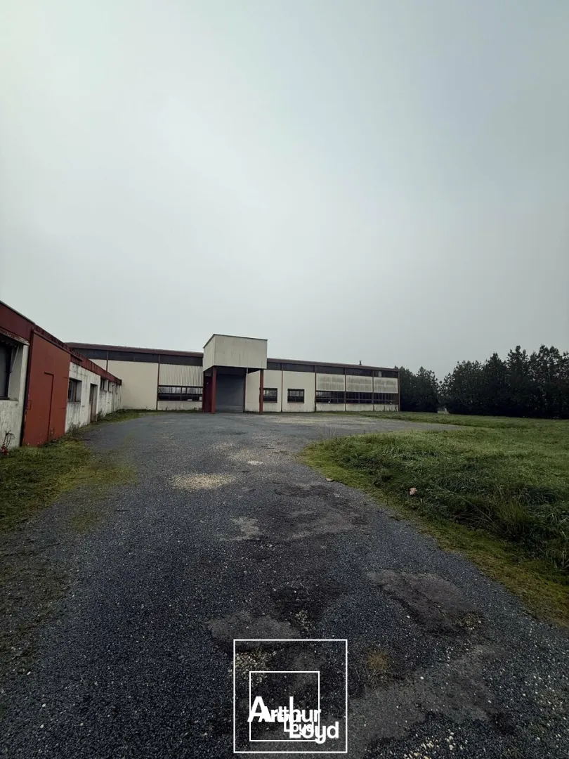 Terrains - Vente - TERRASSON-LAVILLEDIEU - 24120 - 17710-17710 - 7731194