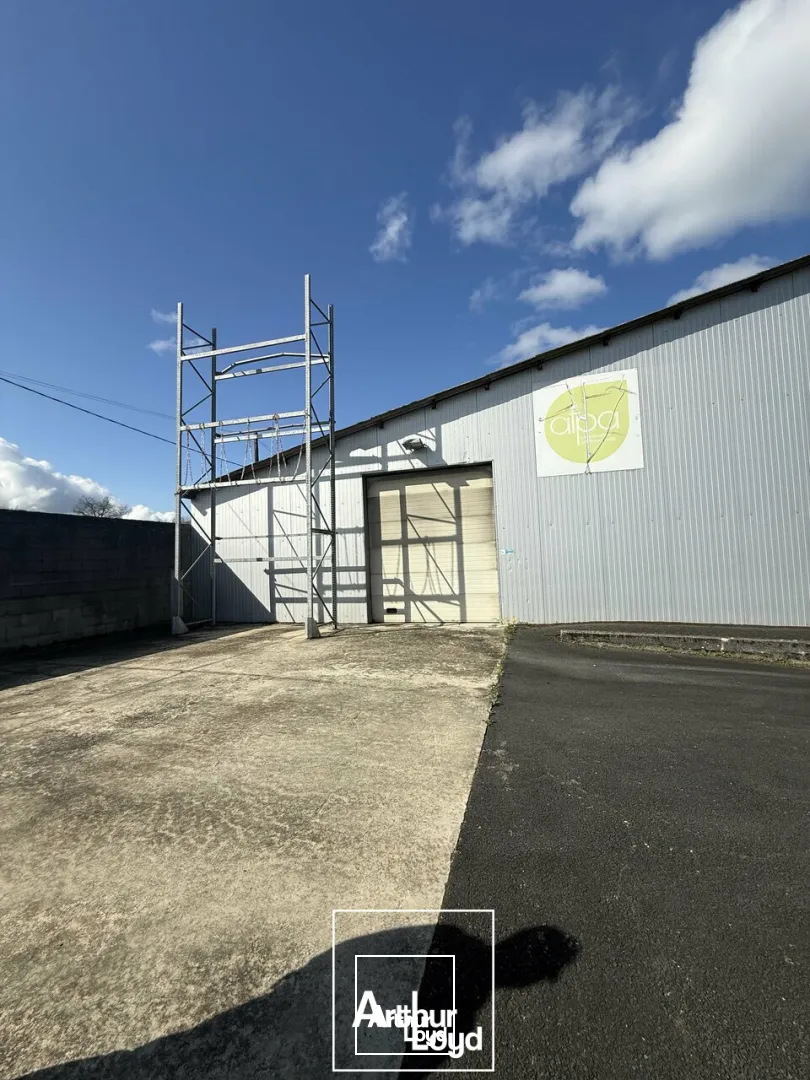 Bureaux - Location - SAINT PANTALEON DE LARCHE - 19600 - 680-680 - 7731260