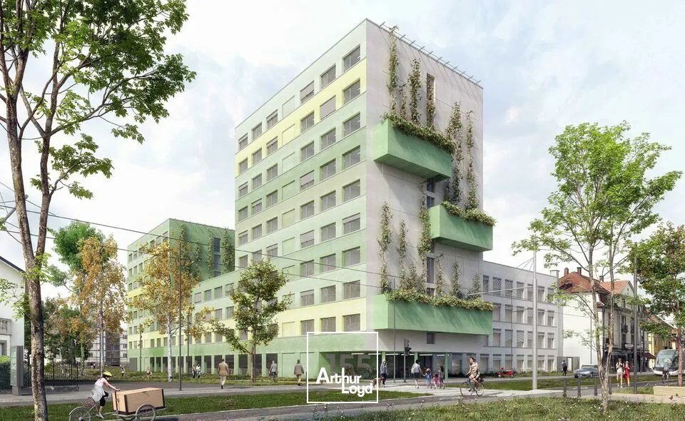 Bureaux - Location - SCHILTIGHEIM - 67300 - 150-1517.71 - 7732227