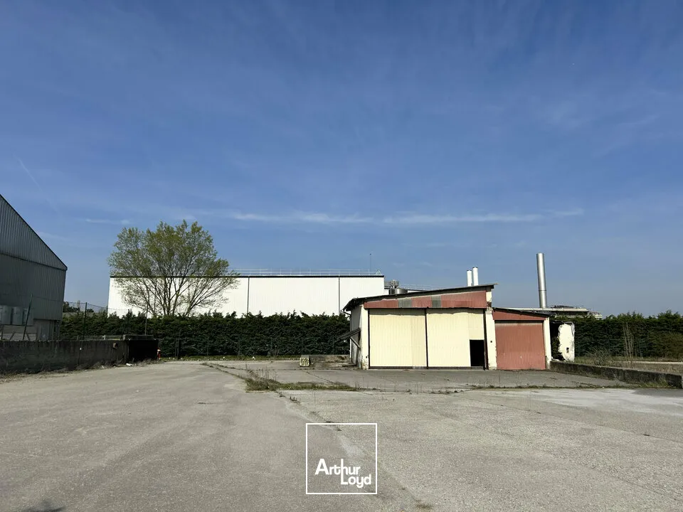 Terrains - Vente - ILLZACH - 68110 - 10854-10854 - 7732237