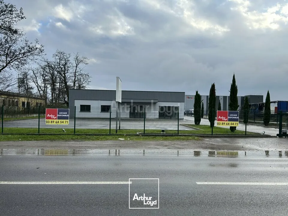 Locaux d'activité & Entrepôts - Location - RICHWILLER - 68120 - 590-590 - 7732238