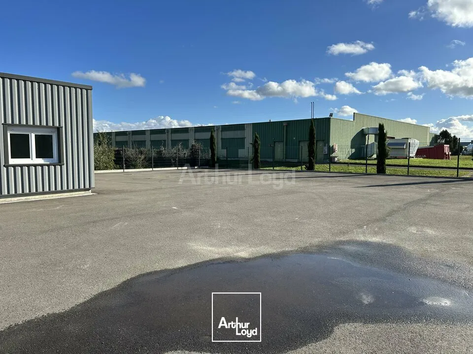 Locaux d'activité & Entrepôts - Location - RICHWILLER - 68120 - 590-590 - 7732242