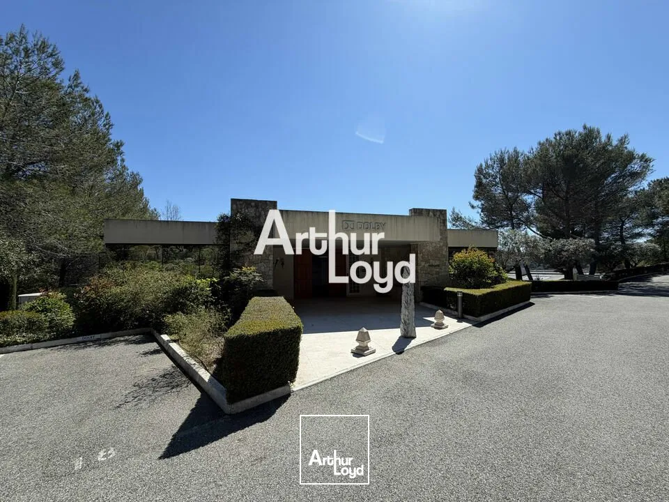 Bureaux - Location - VALBONNE - 06560 - 445.6-445.6 - 7732257