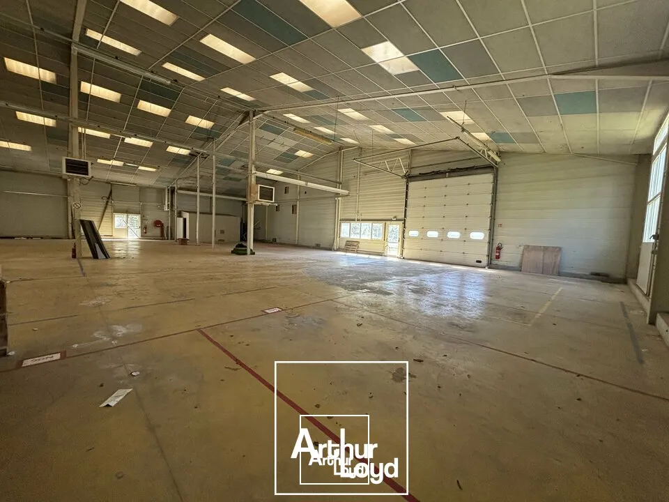 Locaux d'activité & Entrepôts - Location - SOUILLAC - 46200 - 3000-3000 - 7732288