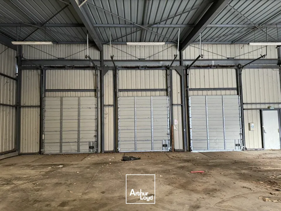 Bureaux - Vente - LIGNIÈRES-DE-TOURAINE - 37130 - 2200-8050 - 7732358