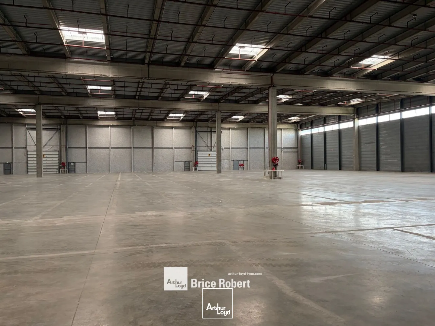 Locaux d'activité & Entrepôts - Location - MIONS - 69780 - 438-25465 - 7732846