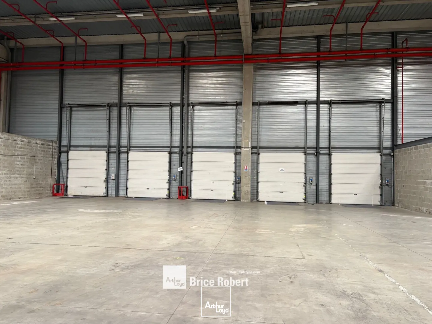 Locaux d'activité & Entrepôts - Location - MIONS - 69780 - 438-25465 - 7732845