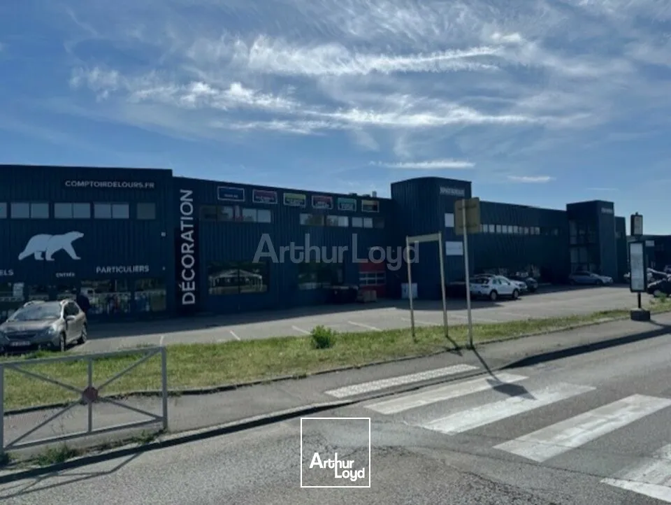 Bureaux - Location - SAUSHEIM - 68390 - 51-1103 - 7733053