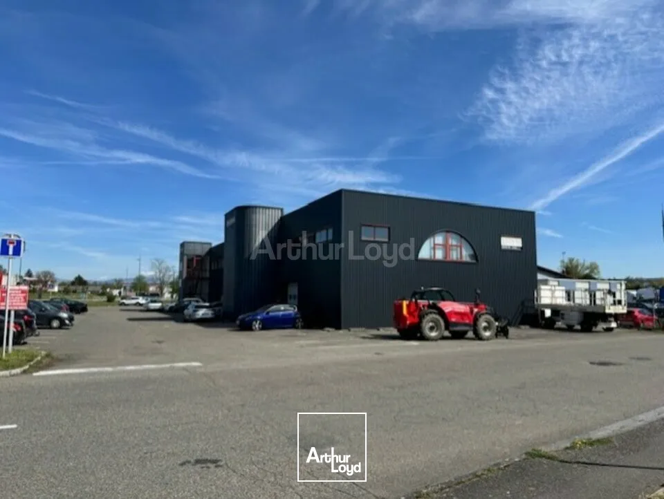 Bureaux - Location - SAUSHEIM - 68390 - 51-1103 - 7733057