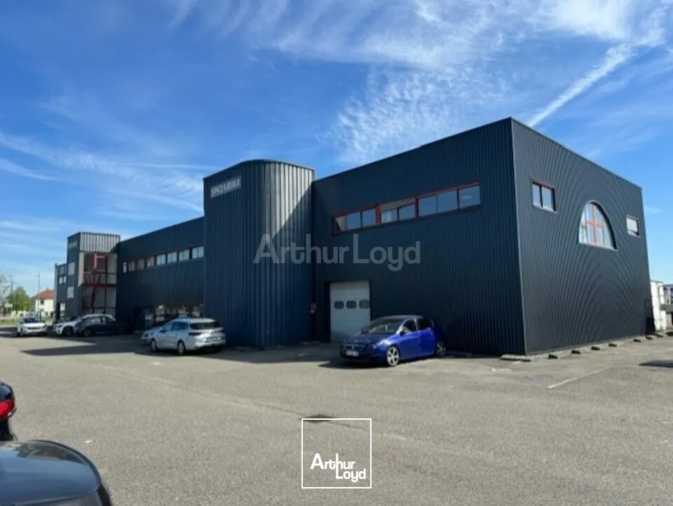 Bureaux - Location - SAUSHEIM - 68390 - 51-1103 - 7733058