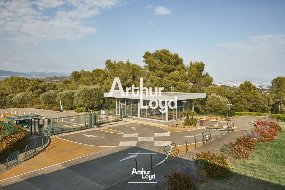 Bureaux - Location - BIOT - 06410 - 150-12200 - 7733072