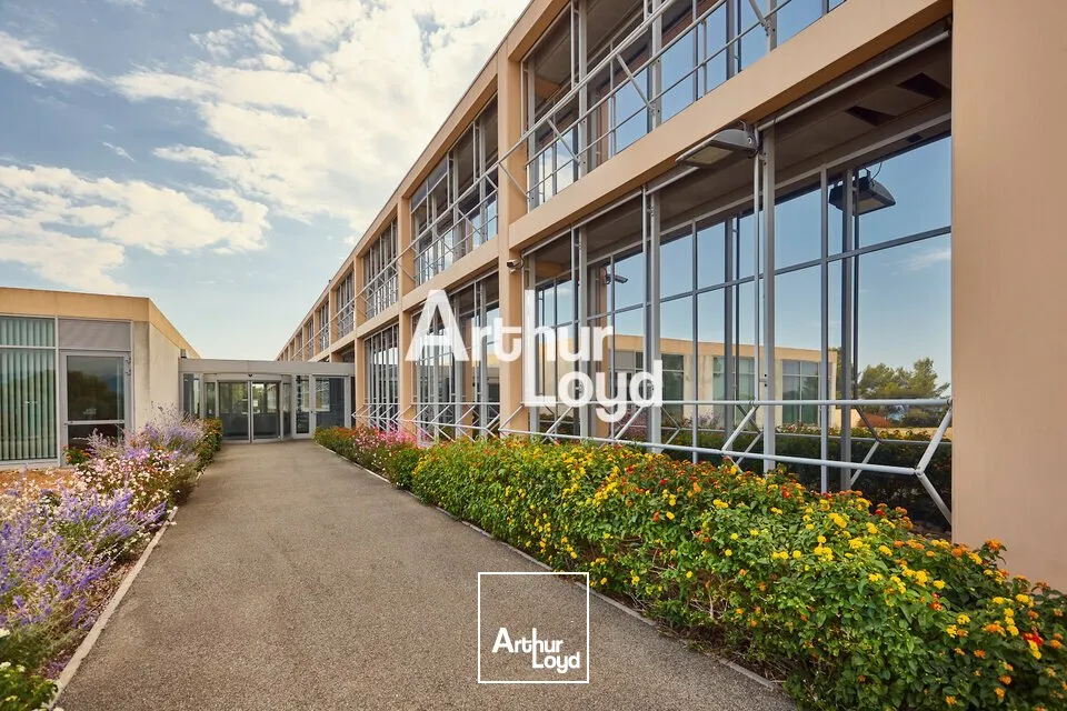 Bureaux - Location - BIOT - 06410 - 150-12200 - 7733068