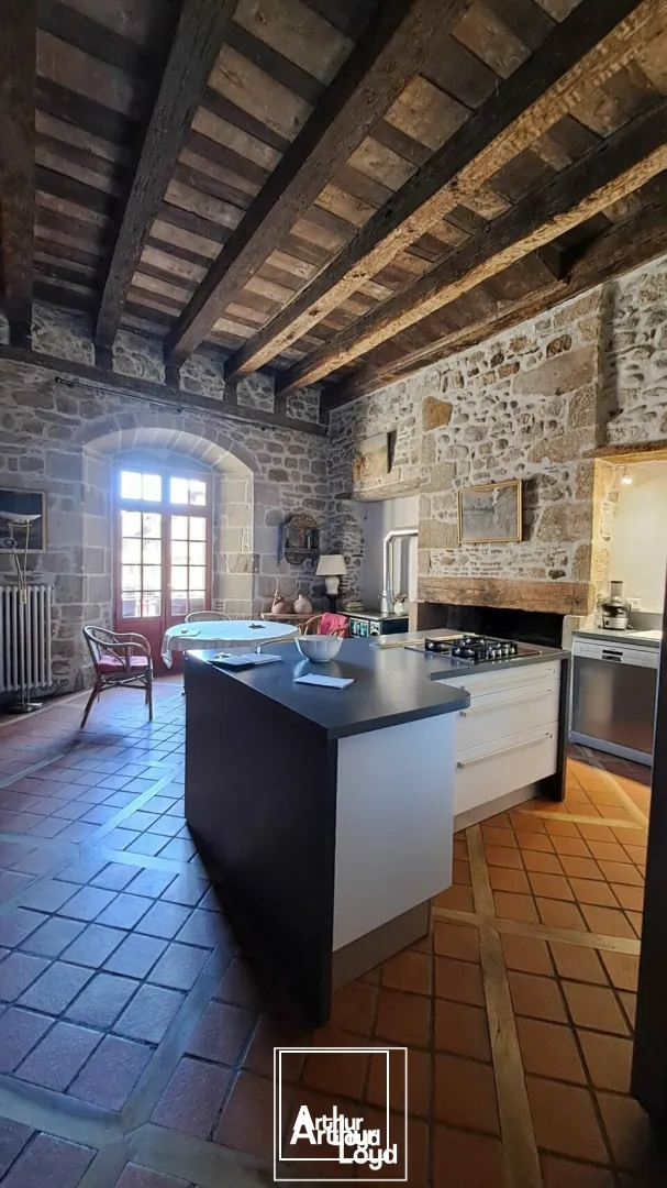 Locaux d'activité & Entrepôts - Vente - BEAULIEU-SUR-DORDOGNE - 19120 - 450-450 - 7733147