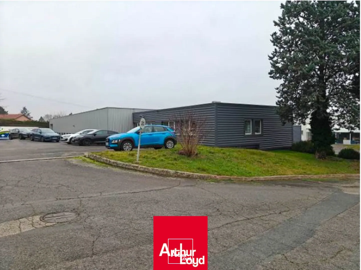 Locaux d'activité & Entrepôts - Vente - LIMAS - 69400 - 1272-1272 - 7733523
