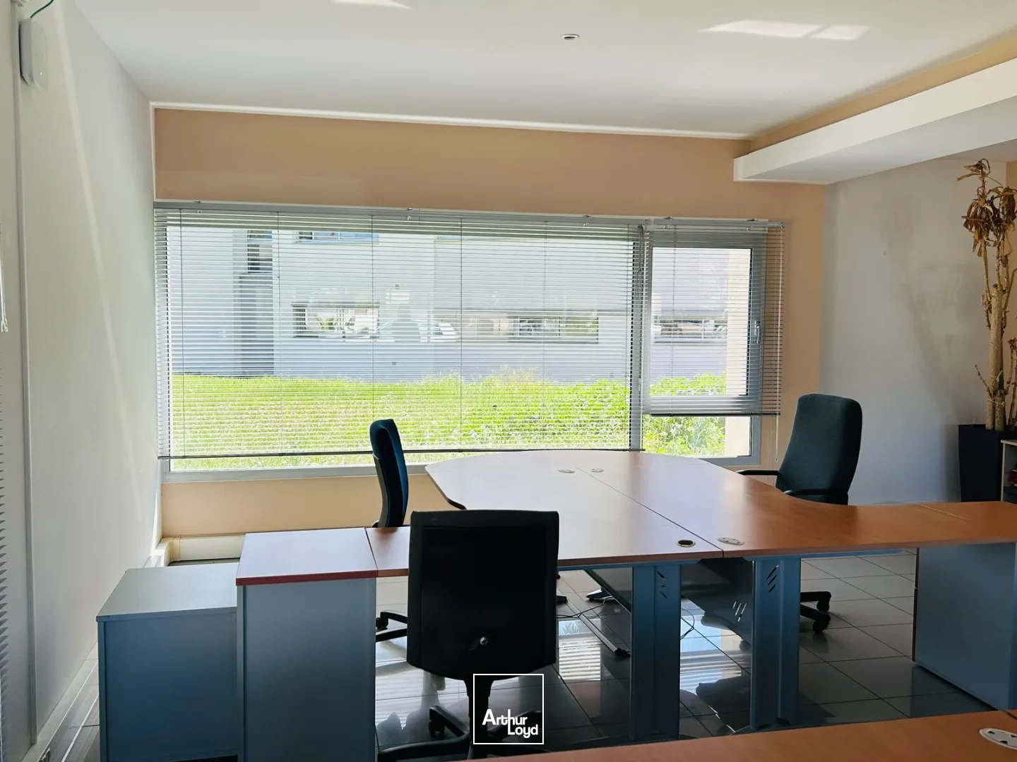 Bureaux - Location - PERPIGNAN - 66100 - 280-280 - 7733563