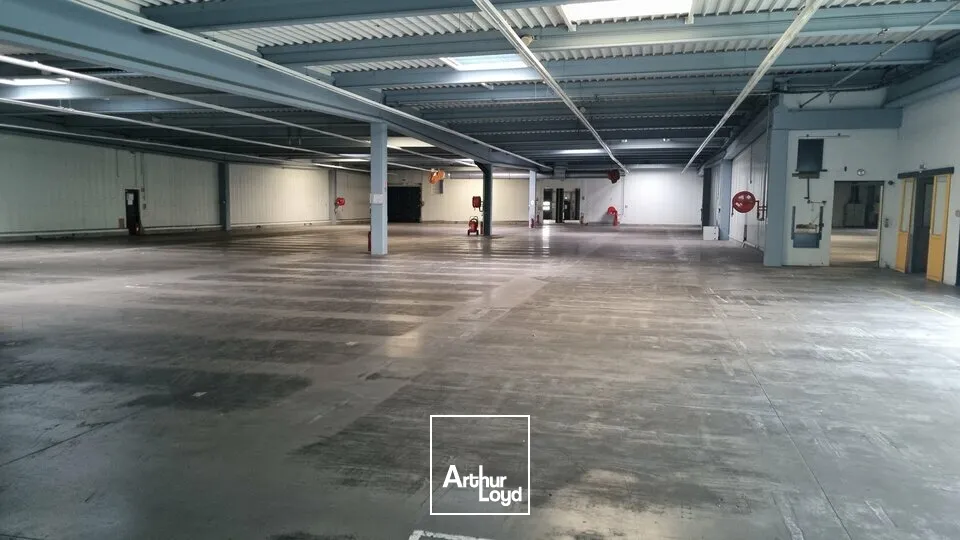 Locaux d'activité & Entrepôts - Location - JAUNAY CLAN - 86130 - 3868-3868 - 7735006