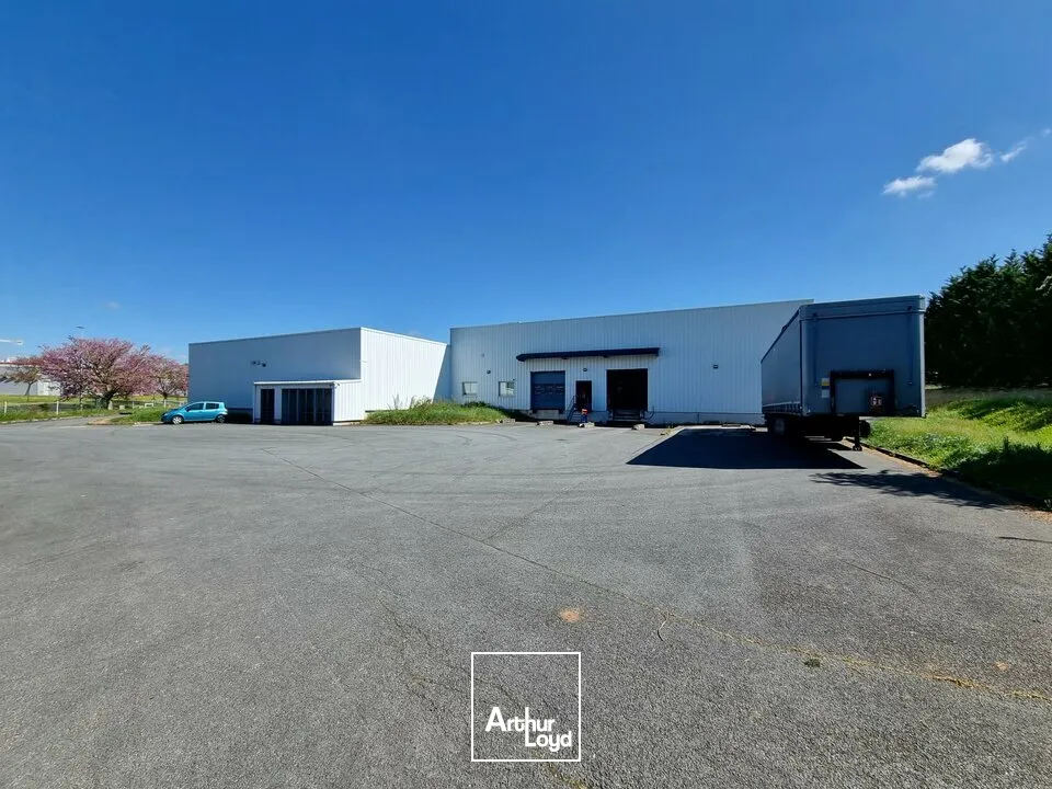 Locaux d'activité & Entrepôts - Location - JAUNAY CLAN - 86130 - 3868-3868 - 7735008