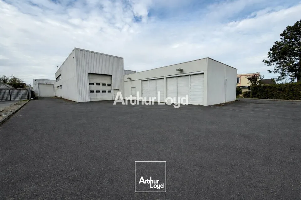 Locaux d'activité & Entrepôts - Vente - CORMONTREUIL - 51350 - 1744-1744 - 7735022