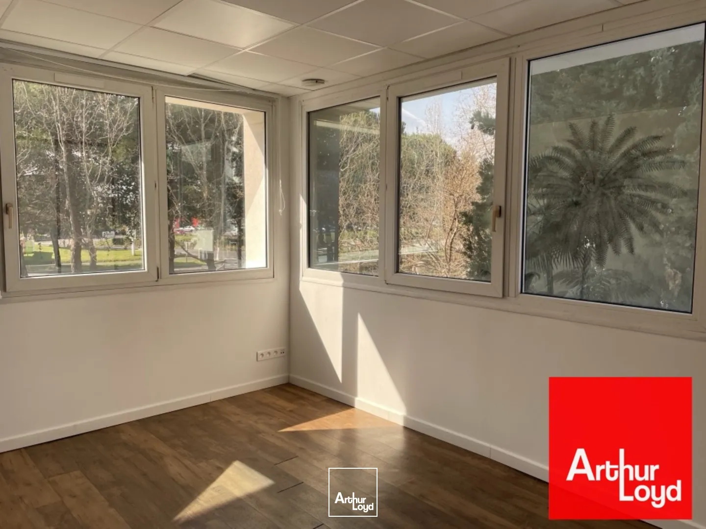 Bureaux - Location - LATTES - 34970 - 160-320 - 7735086