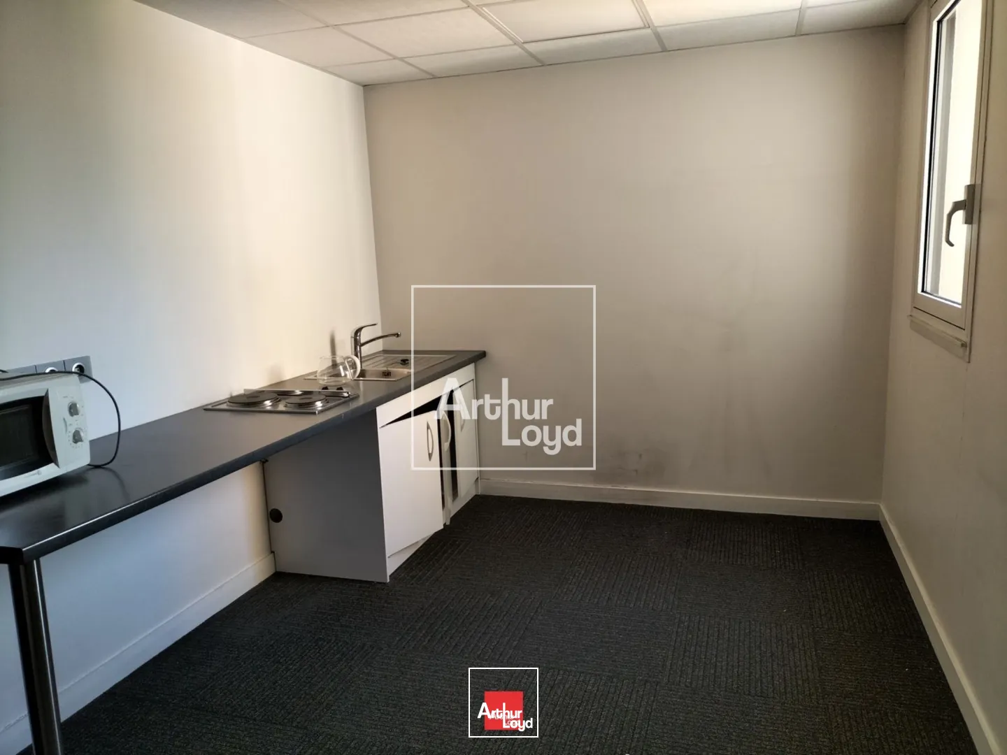 Bureaux - Location - GRENOBLE - 38100 - 110-1250 - 7735175