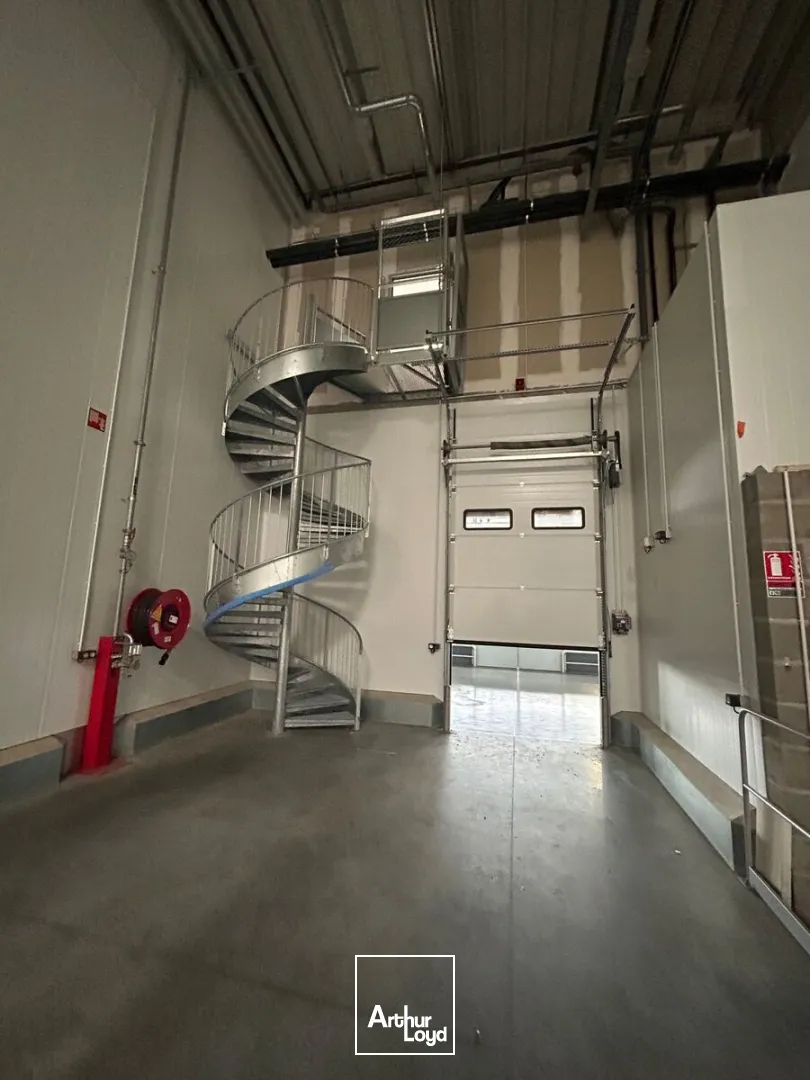 Locaux d'activité & Entrepôts - Location - REZE - 44400 - 1244-1244 - 7735316