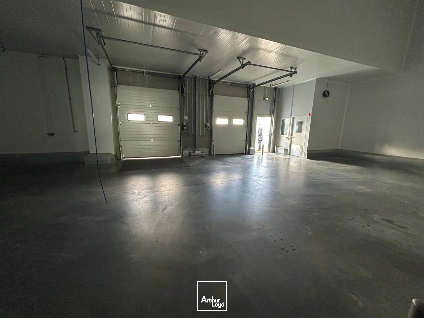 Locaux d'activité & Entrepôts - Location - REZE - 44400 - 1244-1244 - 7735320