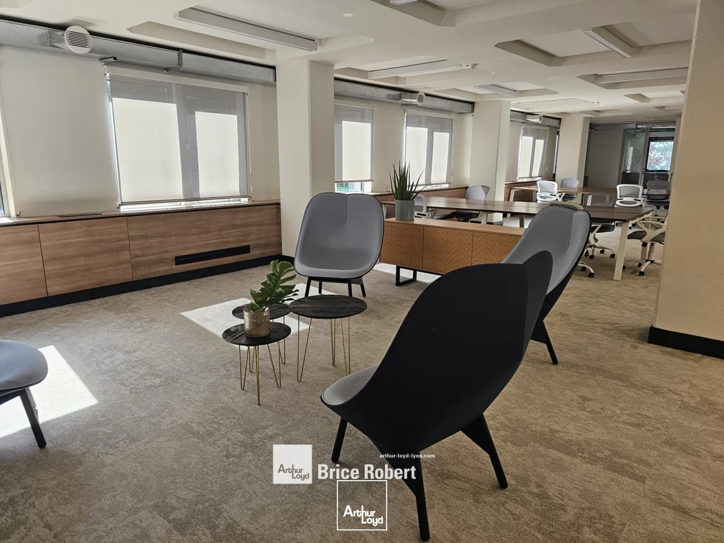 Bureaux - Location - VILLEURBANNE - 69100 - 453-453 - 7735607