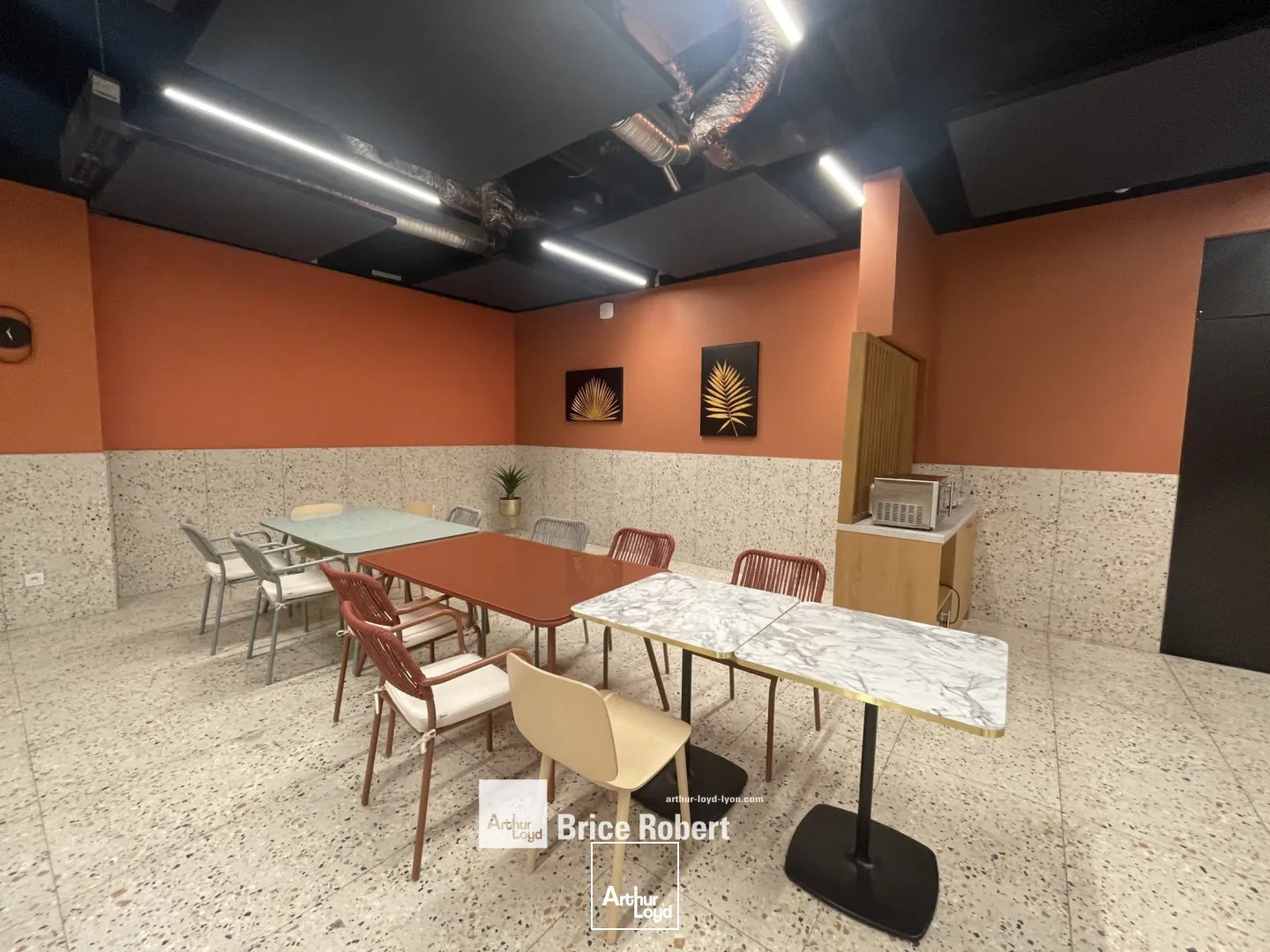 Bureaux - Location - VILLEURBANNE - 69100 - 453-453 - 7735606