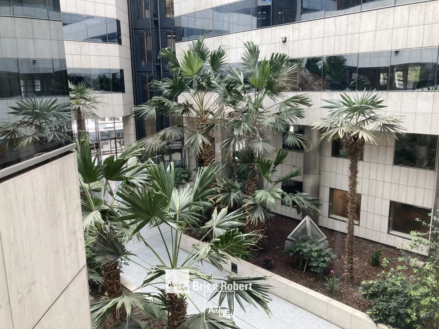 Bureaux - Vente - LYON - 69006 - 150.5-150.5 - 7735631