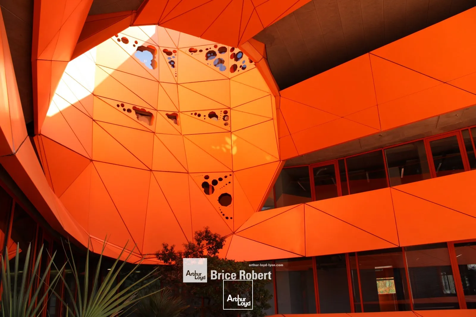 Bureaux - Location - LYON - 69002 - 326-326 - 7735636