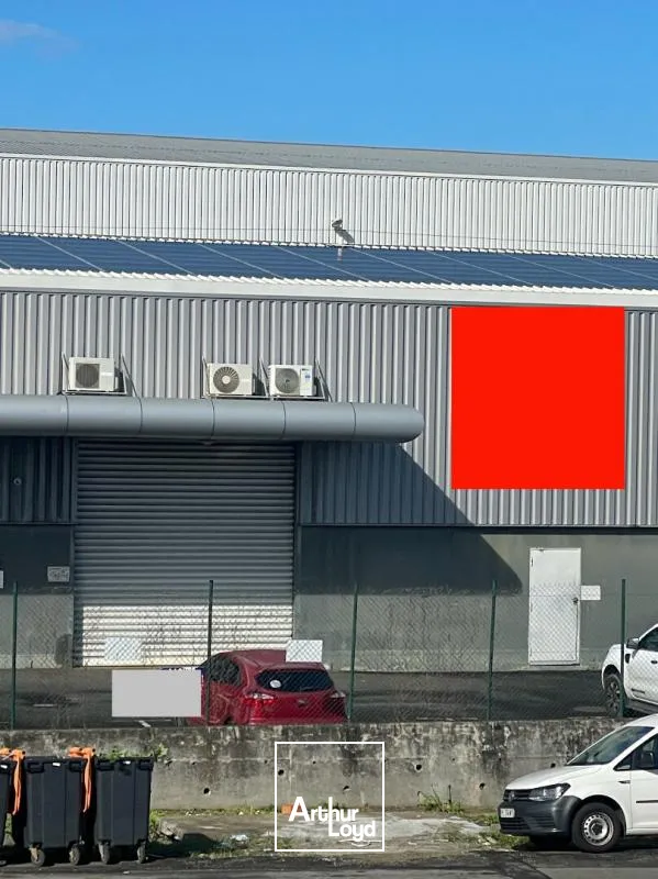 Locaux d'activité & Entrepôts - Location - Baie Mahault - 97122 - 220-220 - 7735760