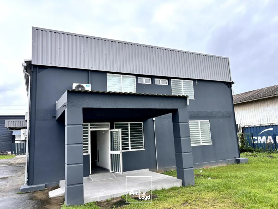 Bureaux - Location - Cayenne - 97300 - 146-146 - 7735798
