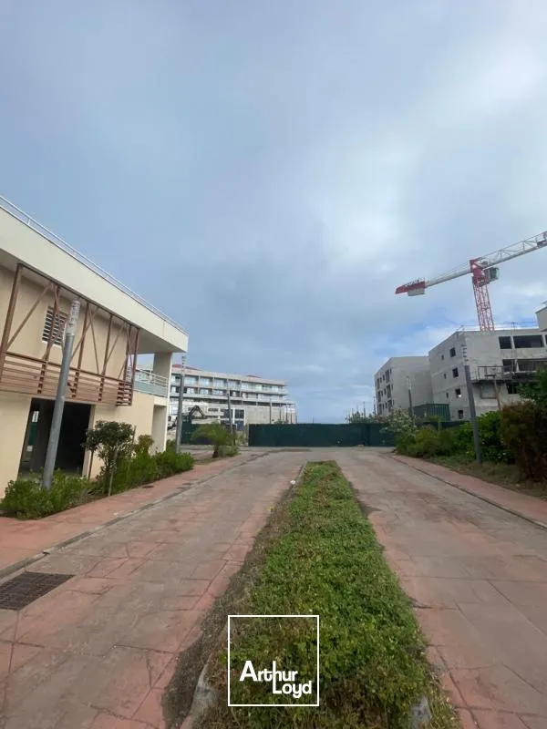 Locaux commerciaux - Location - Le Moule - 97160 - 50-50 - 7735805