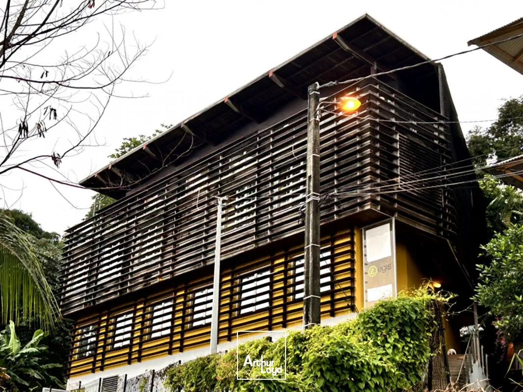 Bureaux - Location - Cayenne - 97300 - 160-160 - 7735801