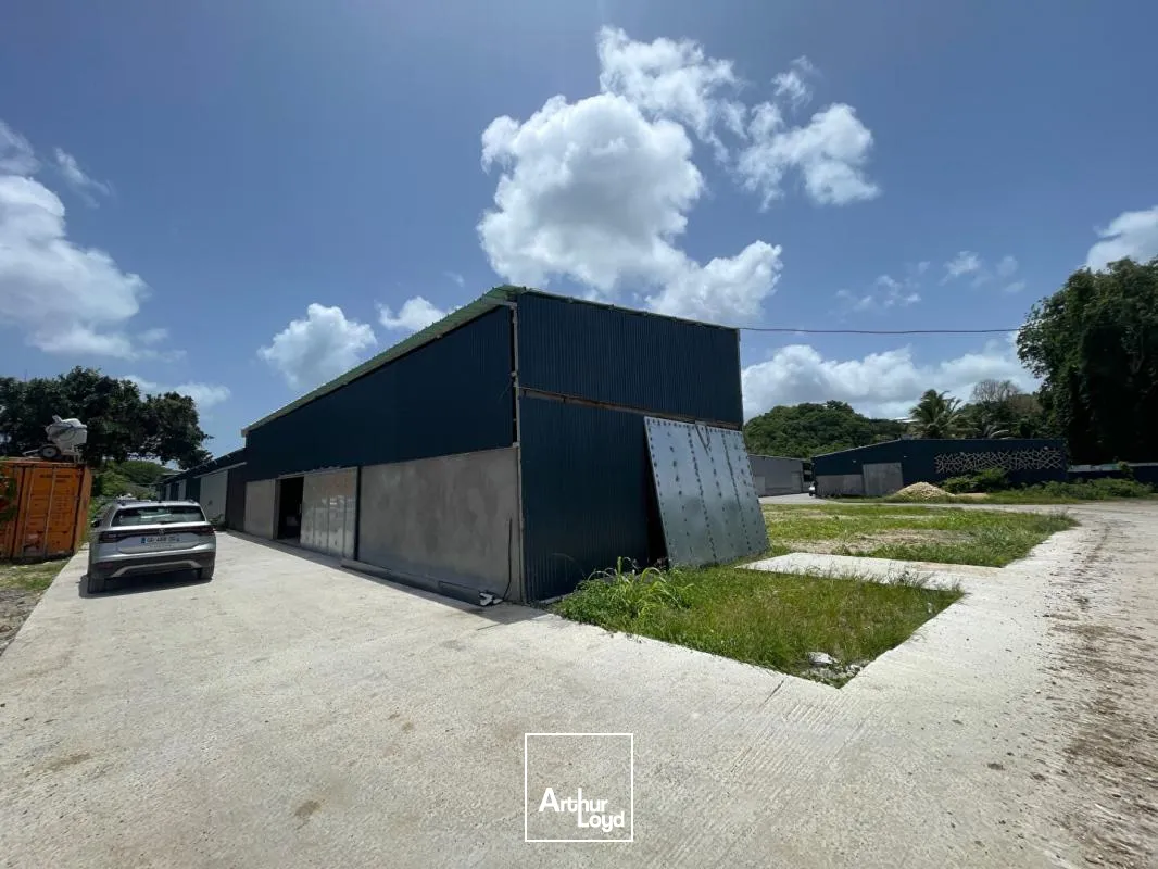 Locaux d'activité & Entrepôts - Location - Le Gosier - 97190 - 250-250 - 7735893