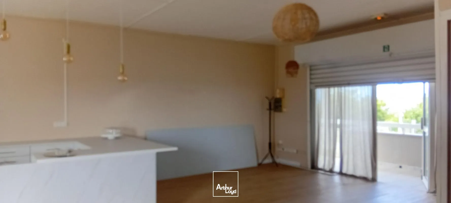 Locaux commerciaux - Vente - Schoelcher - 97233 - 82-82 - 7735920