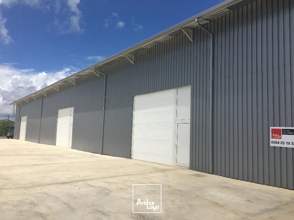 Locaux d'activité & Entrepôts - Location - Matoury - 97351 - 672-672 - 7736108