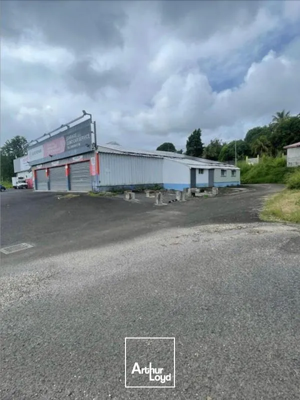 Locaux commerciaux - Location - Goyave - 97128 - 330-330 - 7736159