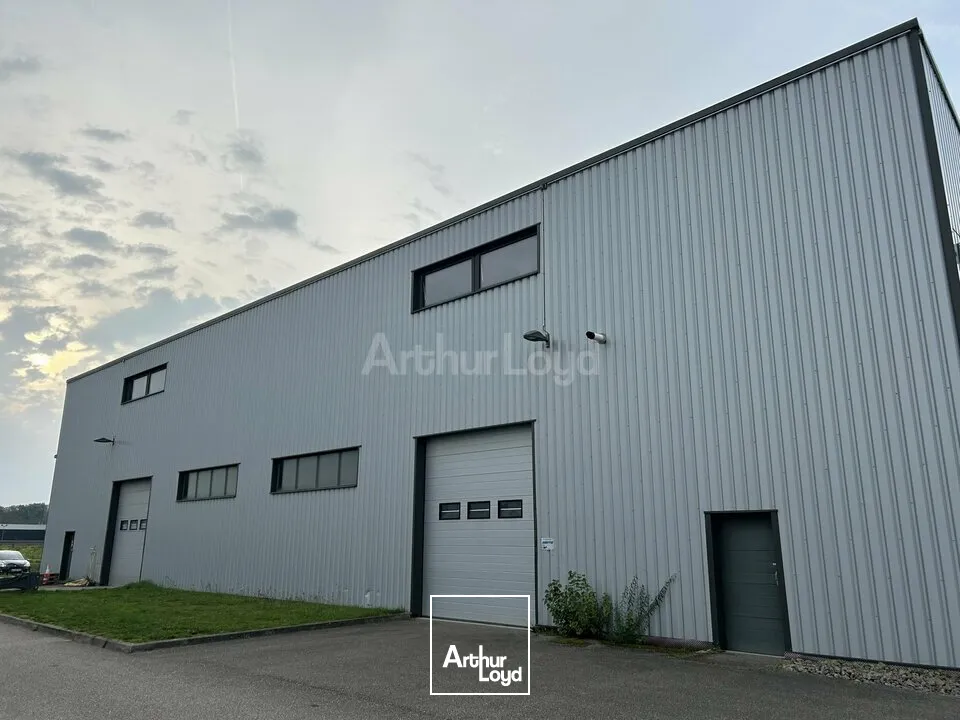Locaux d'activité & Entrepôts - Location - STAFFELFELDEN - 68850 - 720-720 - 7736248