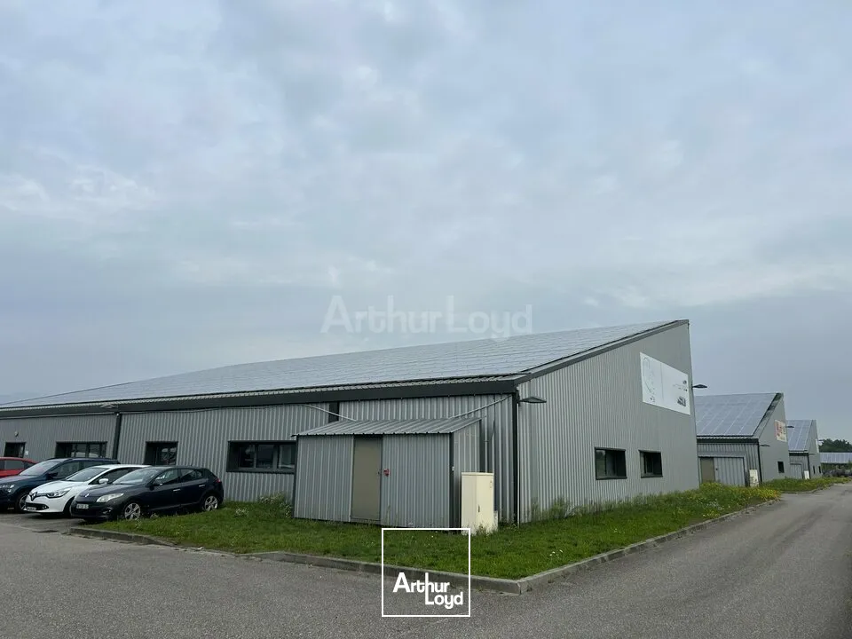 Locaux d'activité & Entrepôts - Location - STAFFELFELDEN - 68850 - 720-720 - 7736245