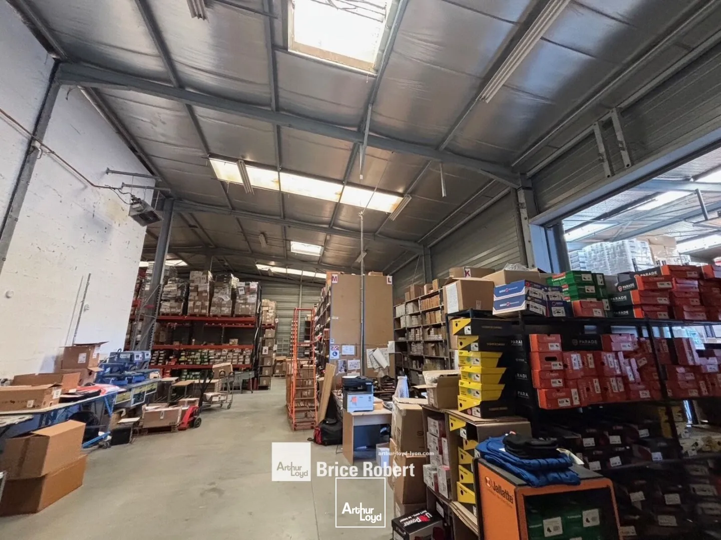 Locaux d'activité & Entrepôts - Location - SAINT QUENTIN FALLAVIER - 38070 - 1250-1250 - 7737064