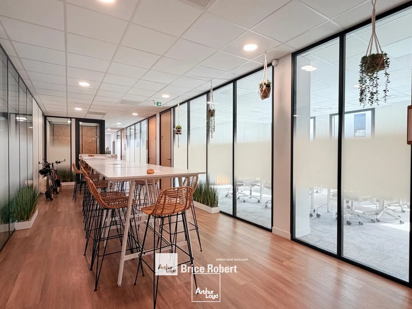 Bureaux - Location - LYON - 69007 - 520-520 - 7737076