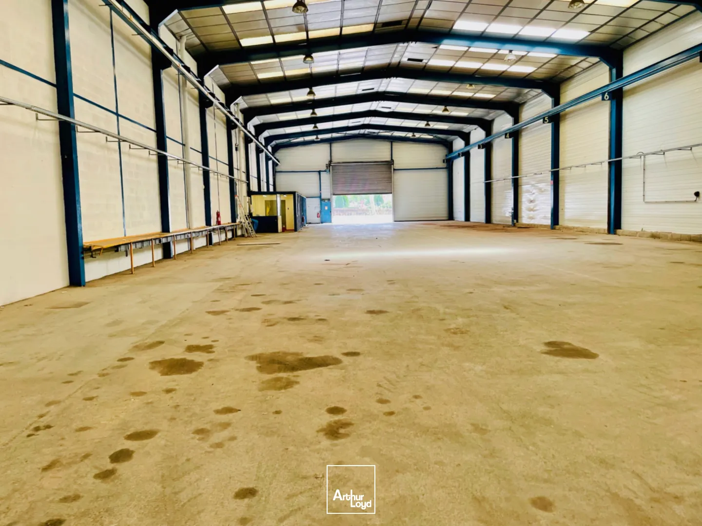 Locaux d'activité & Entrepôts - Location - CANLY - 60680 - 325-1845 - 7737458