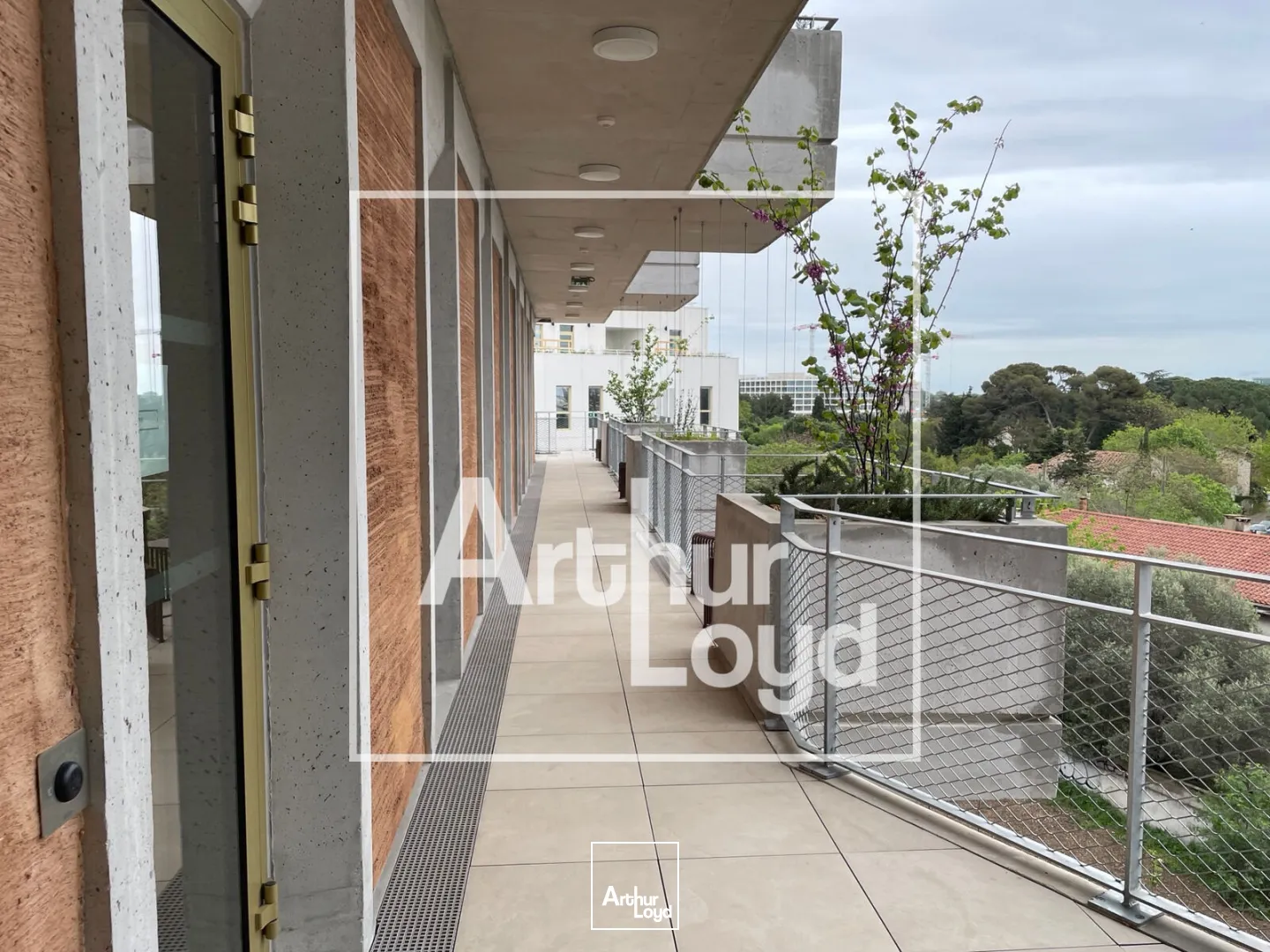 Bureaux - Location - MONTPELLIER - 34000 - 132-457 - 7737498