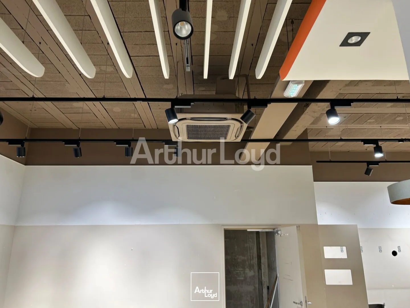 Locaux commerciaux - Location - LILLE - 59000 - 917-917 - 7737750